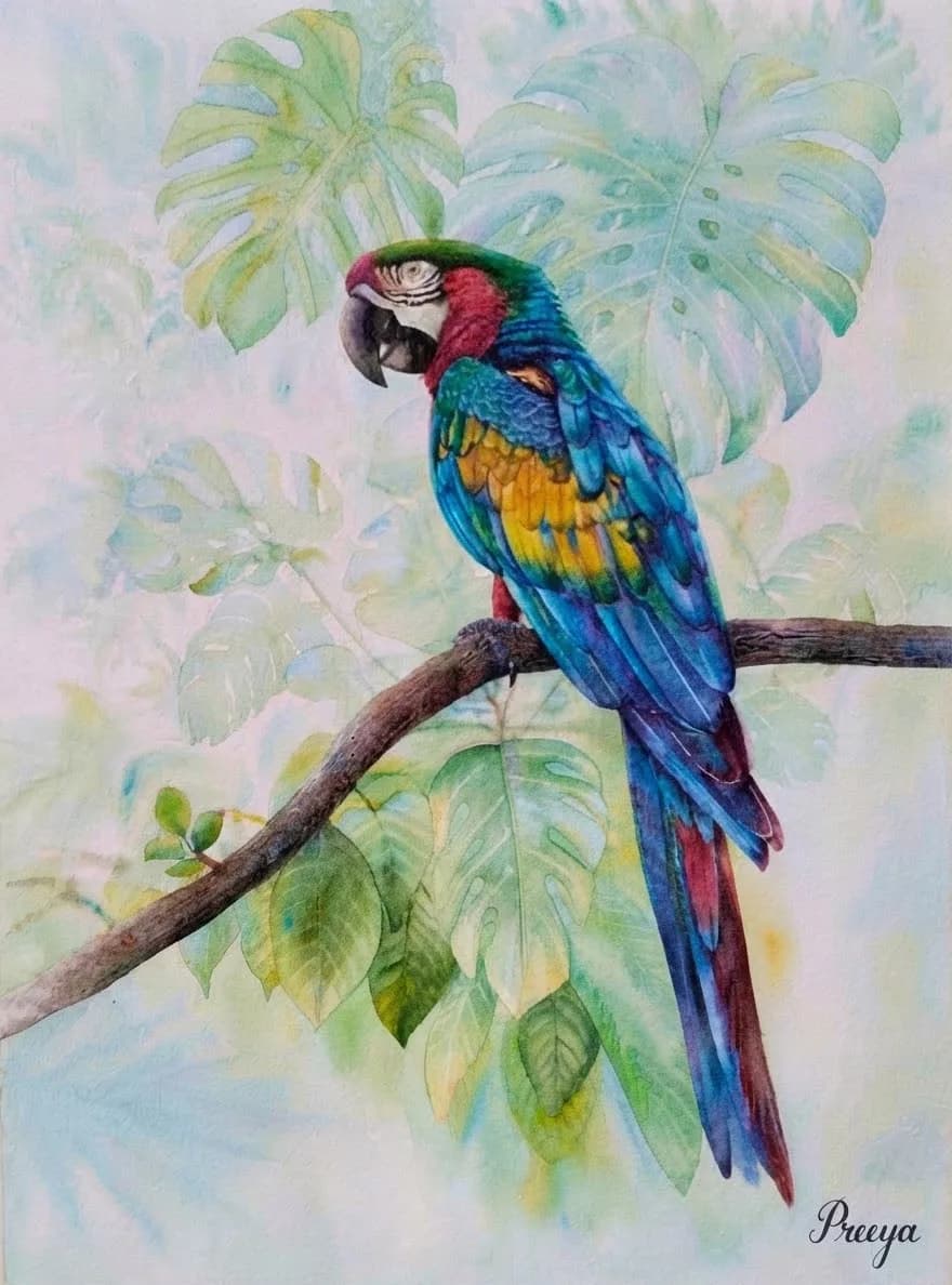 Parrot Paradise
